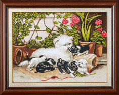 X-1144, Puppies in garden