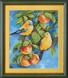 X-1145, Birds
