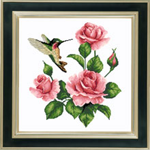 X-924, Hummingbird and roses 